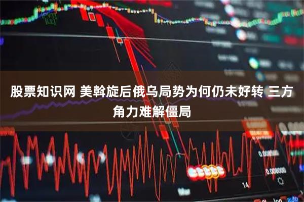 股票知识网 美斡旋后俄乌局势为何仍未好转 三方角力难解僵局