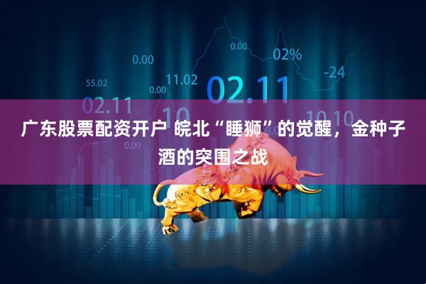 广东股票配资开户 皖北“睡狮”的觉醒，金种子酒的突围之战
