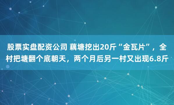股票实盘配资公司 藕塘挖出20斤“金瓦片”，全村把塘翻个底朝天，两个月后另一村又出现6.8斤