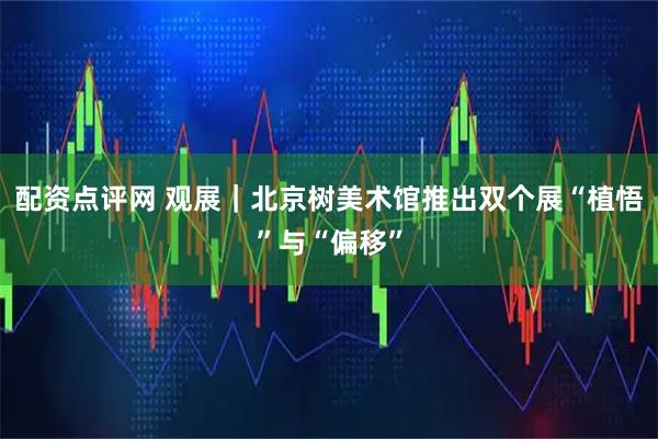 配资点评网 观展｜北京树美术馆推出双个展“植悟”与“偏移”